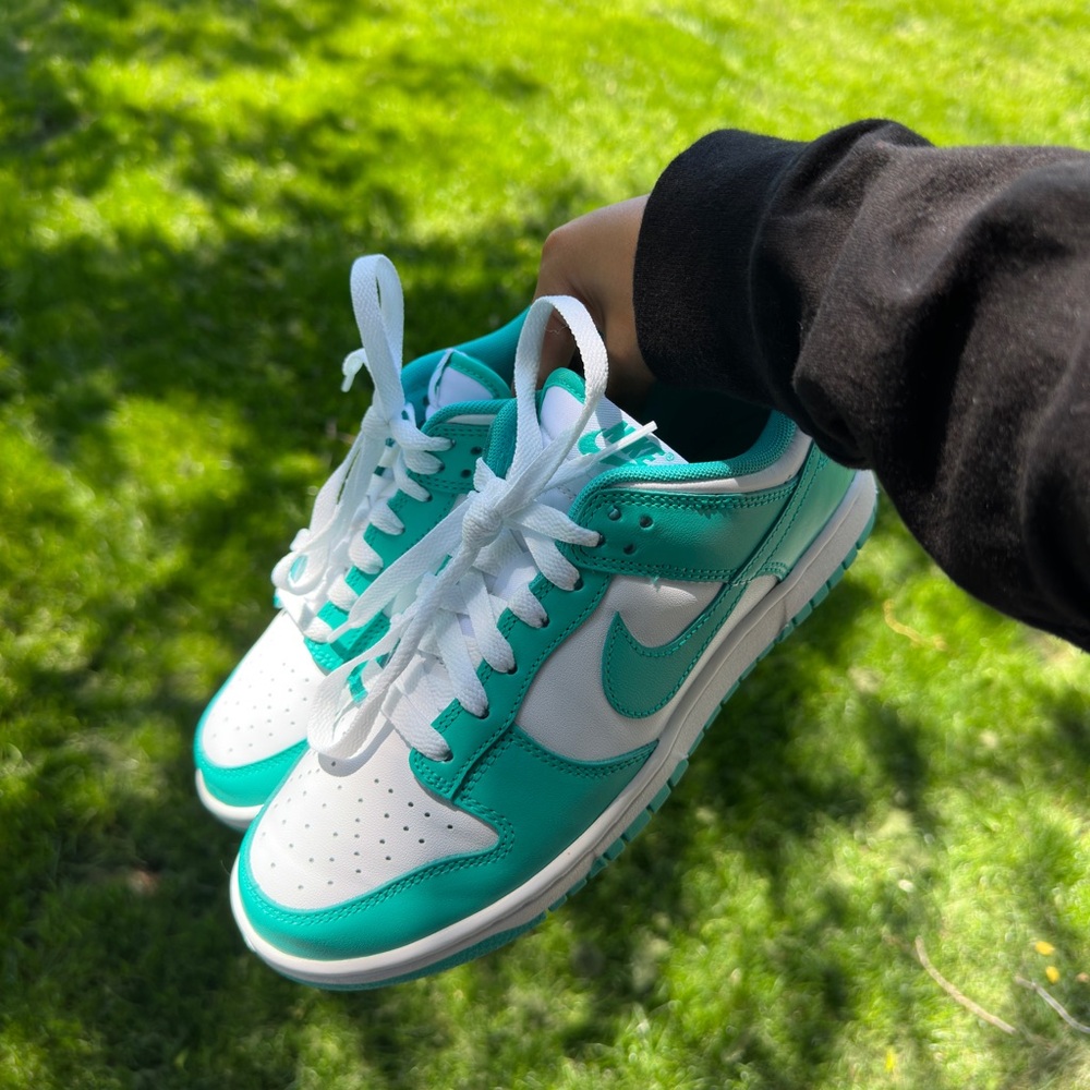 Nike dunk low